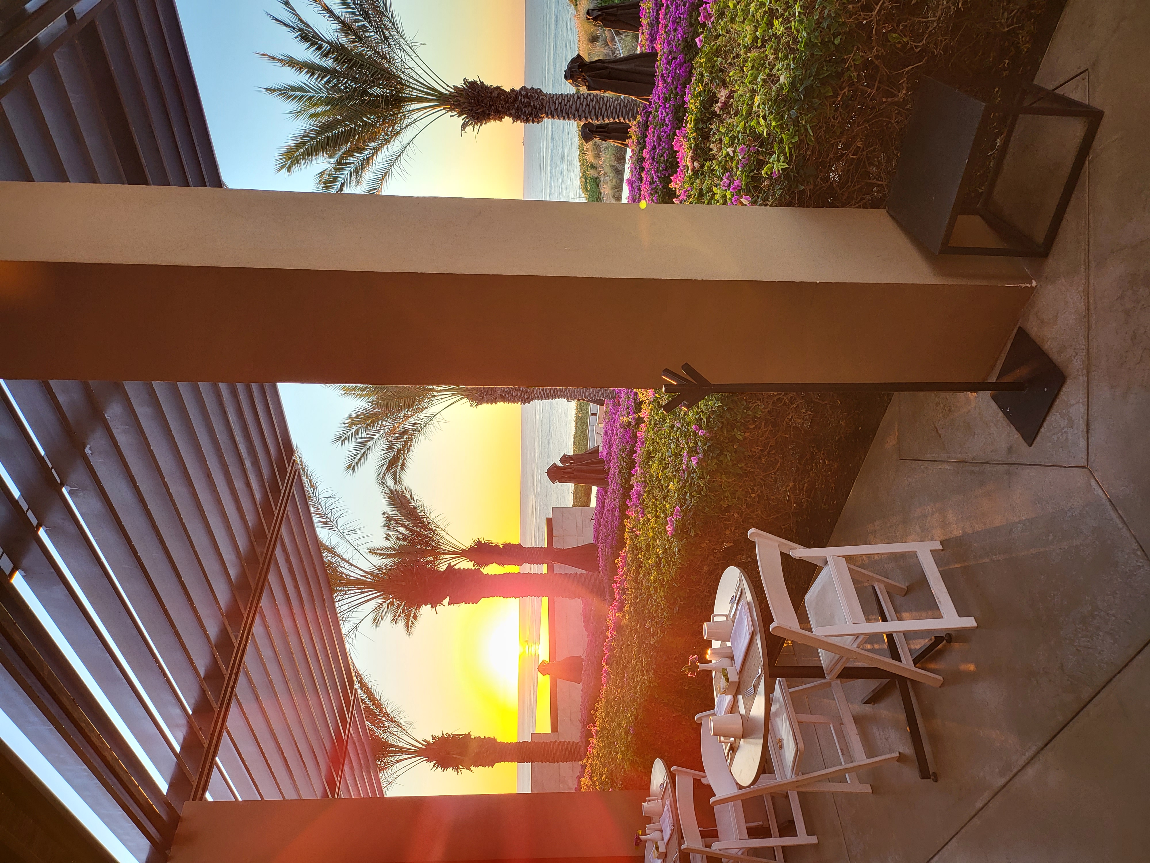 restaurant, resort, lobby — Café Des Artistes Los Cabos (founder field photo)