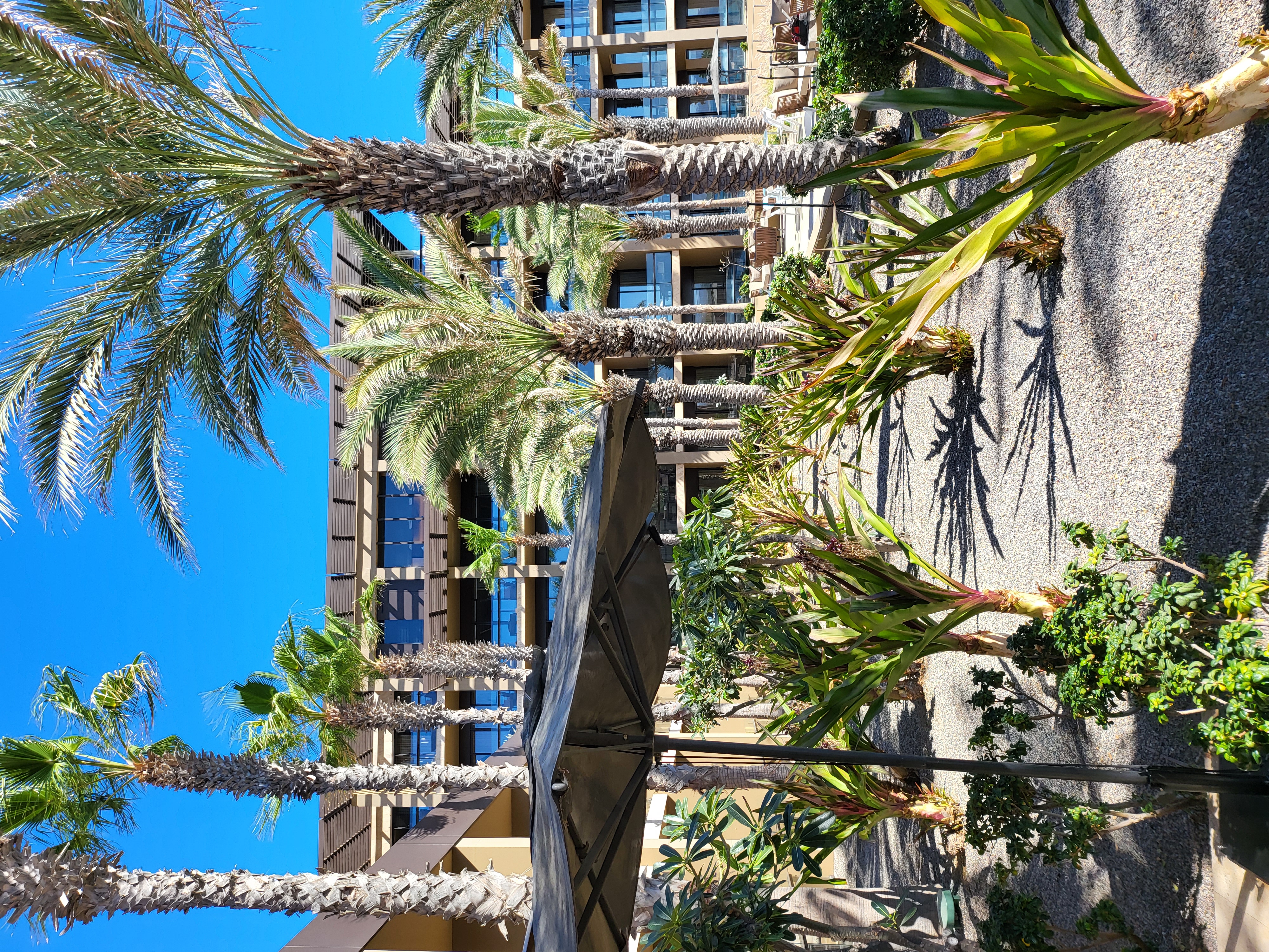 resort, lobby — Casa Maat At JW Marriott Los Cabos Beach Resort & Spa (founder field photo)