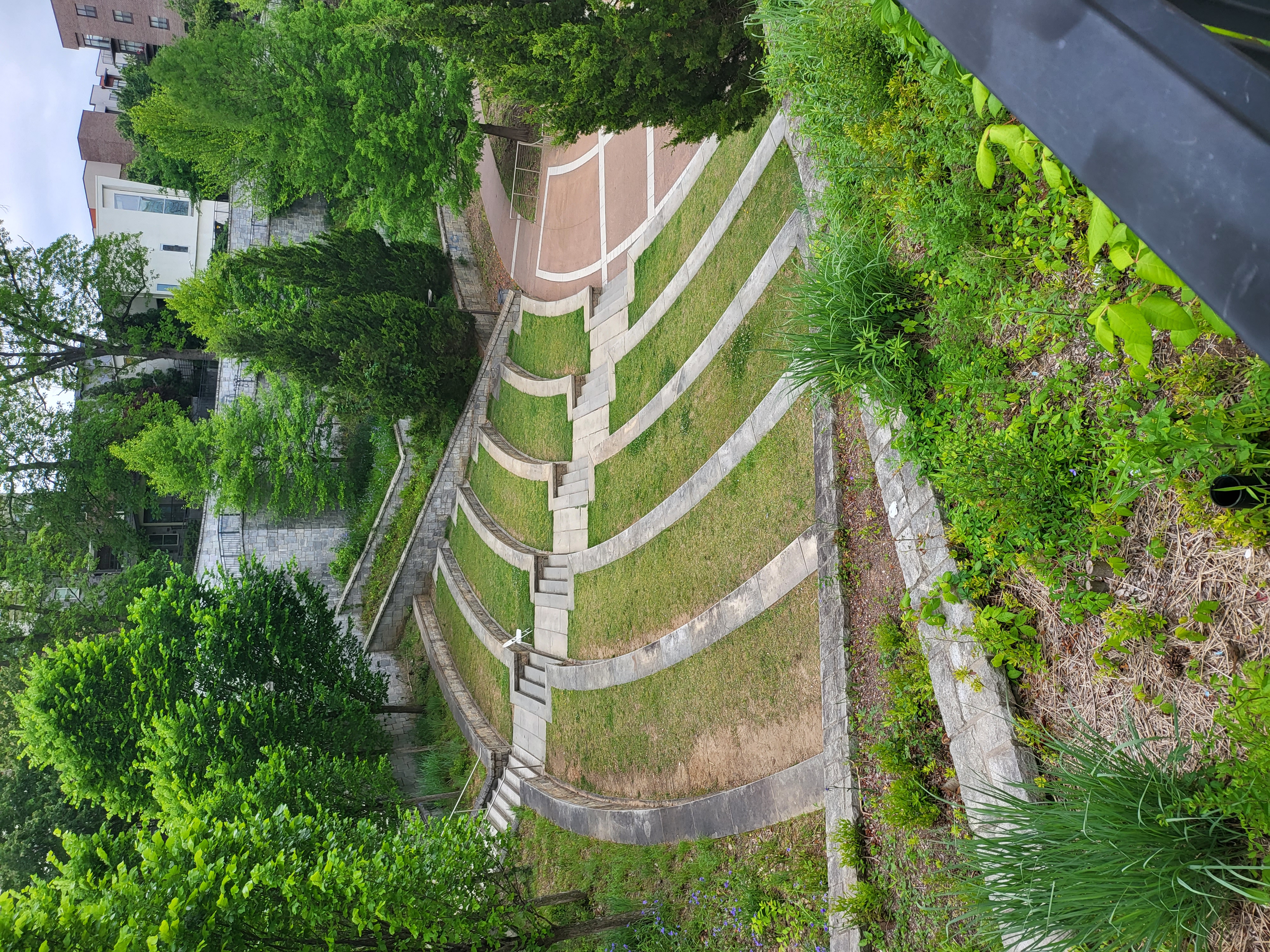 resort — Historic Fourth Ward Park (founder field photo)