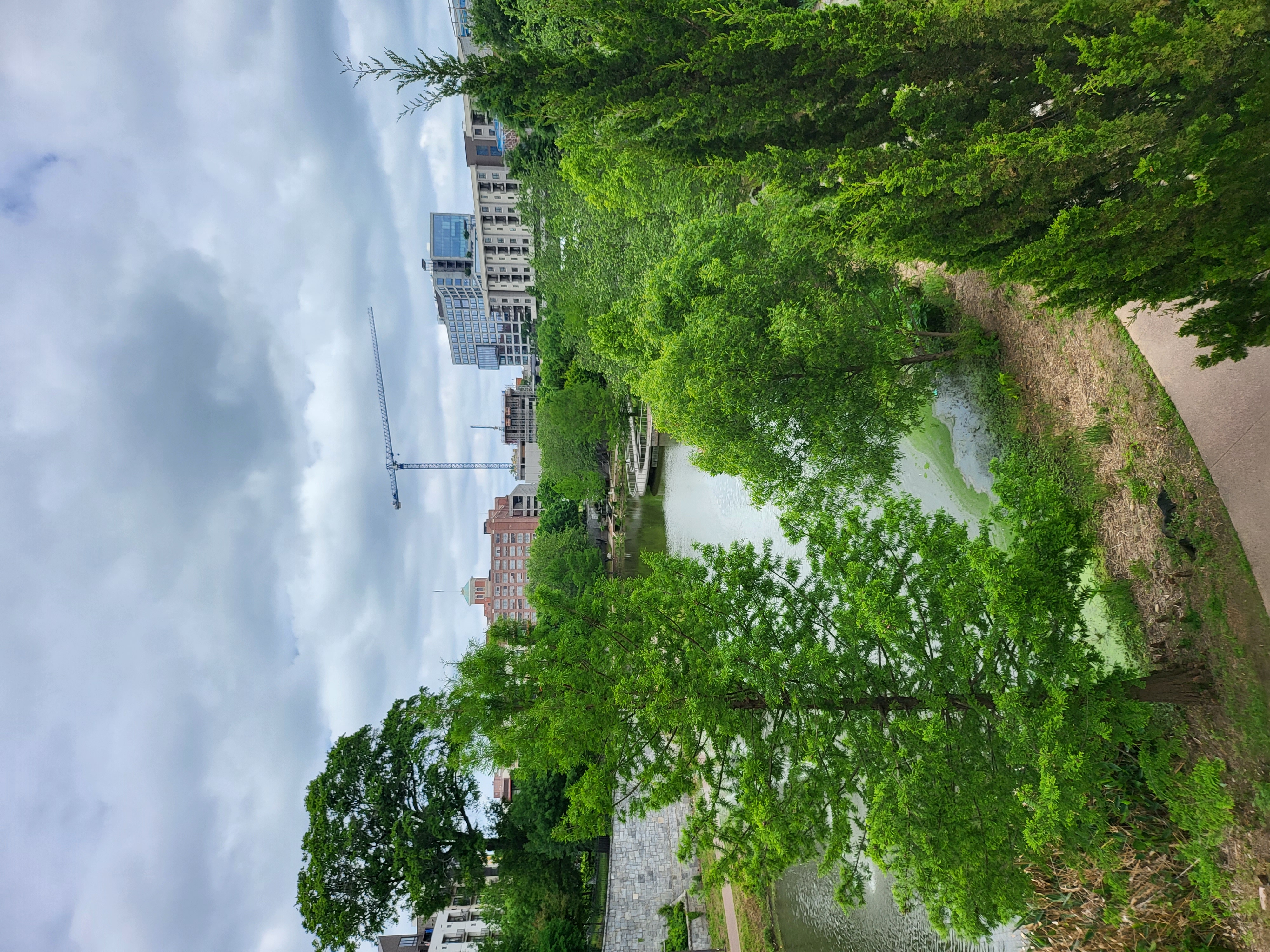 ocean-view, city — Historic Fourth Ward Park (founder field photo)