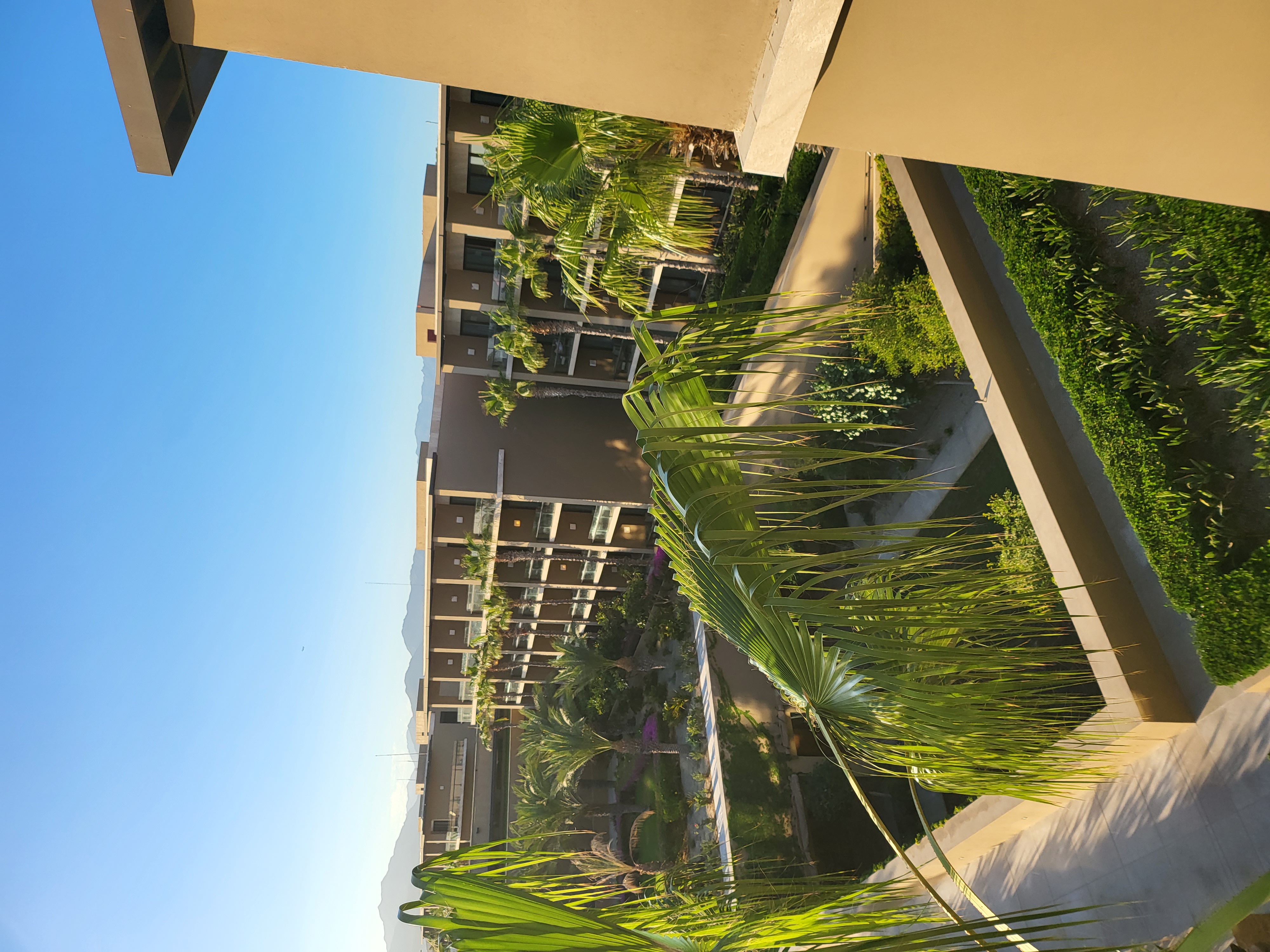 resort — JW Marriott Los Cabos Beach Resort & Spa (founder field photo)