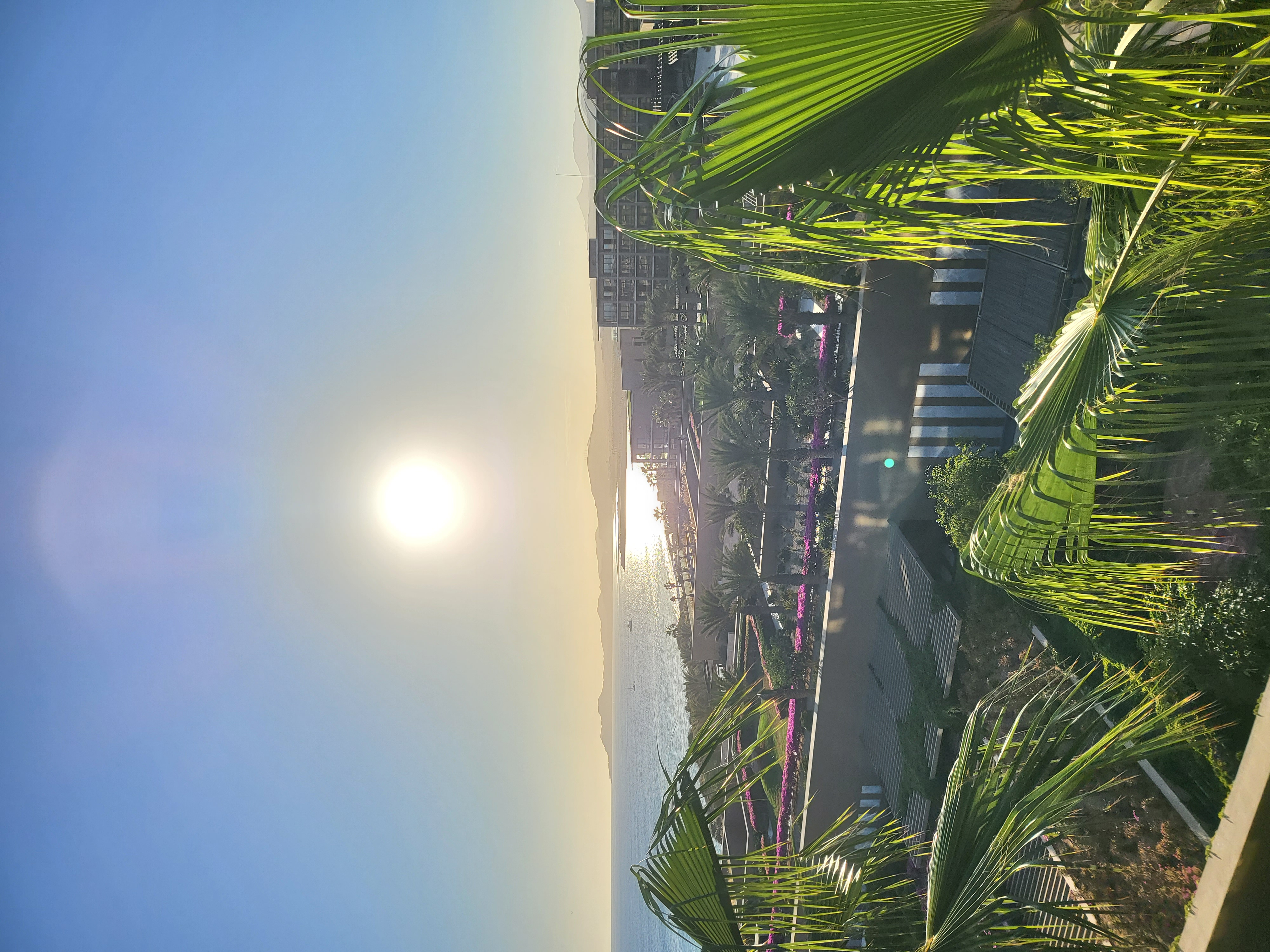 resort, ocean-view, sunrise — JW Marriott Los Cabos Beach Resort & Spa (founder field photo)