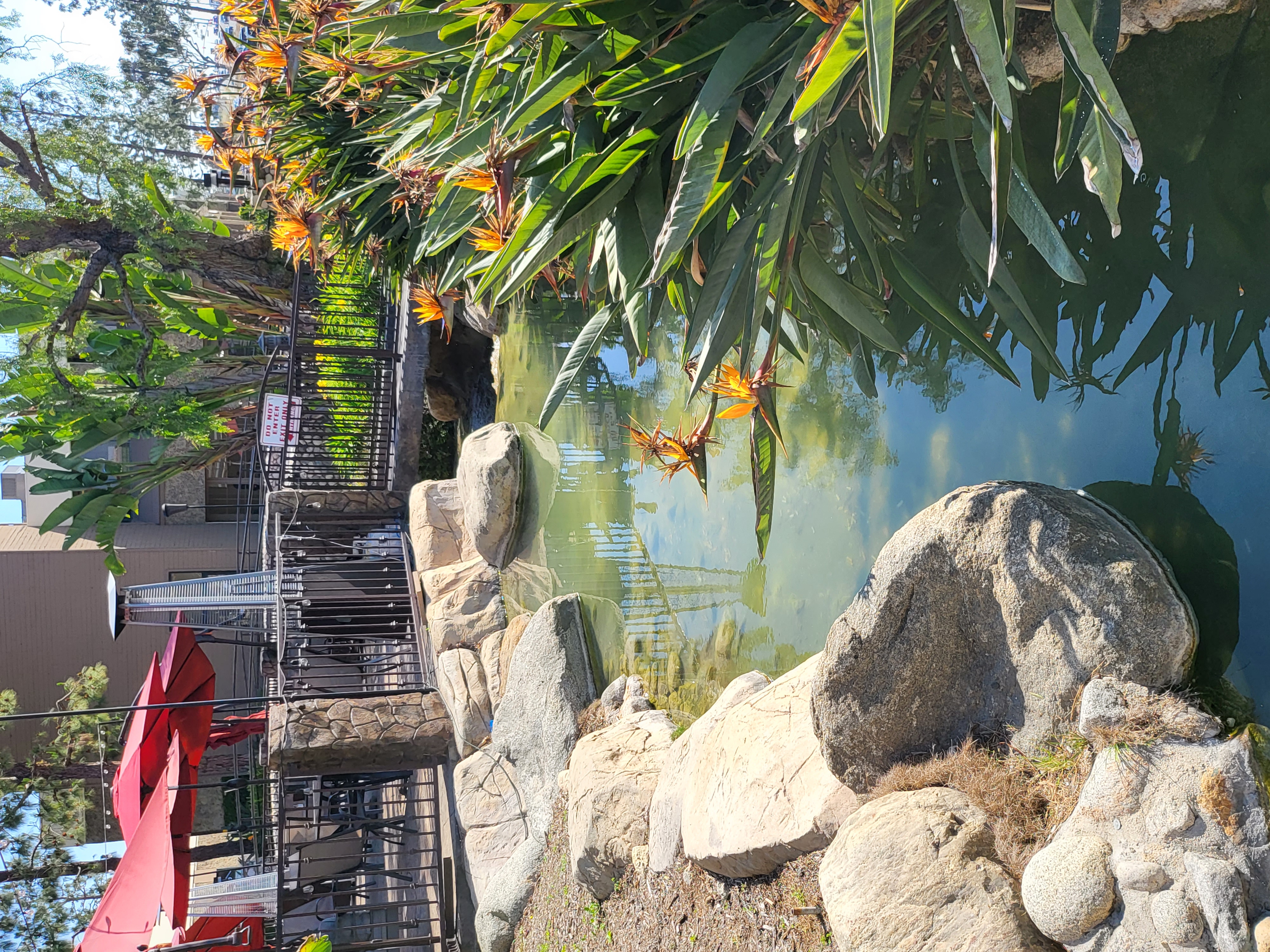 pool, resort — On The Rocks Bar & Grill (founder field photo)