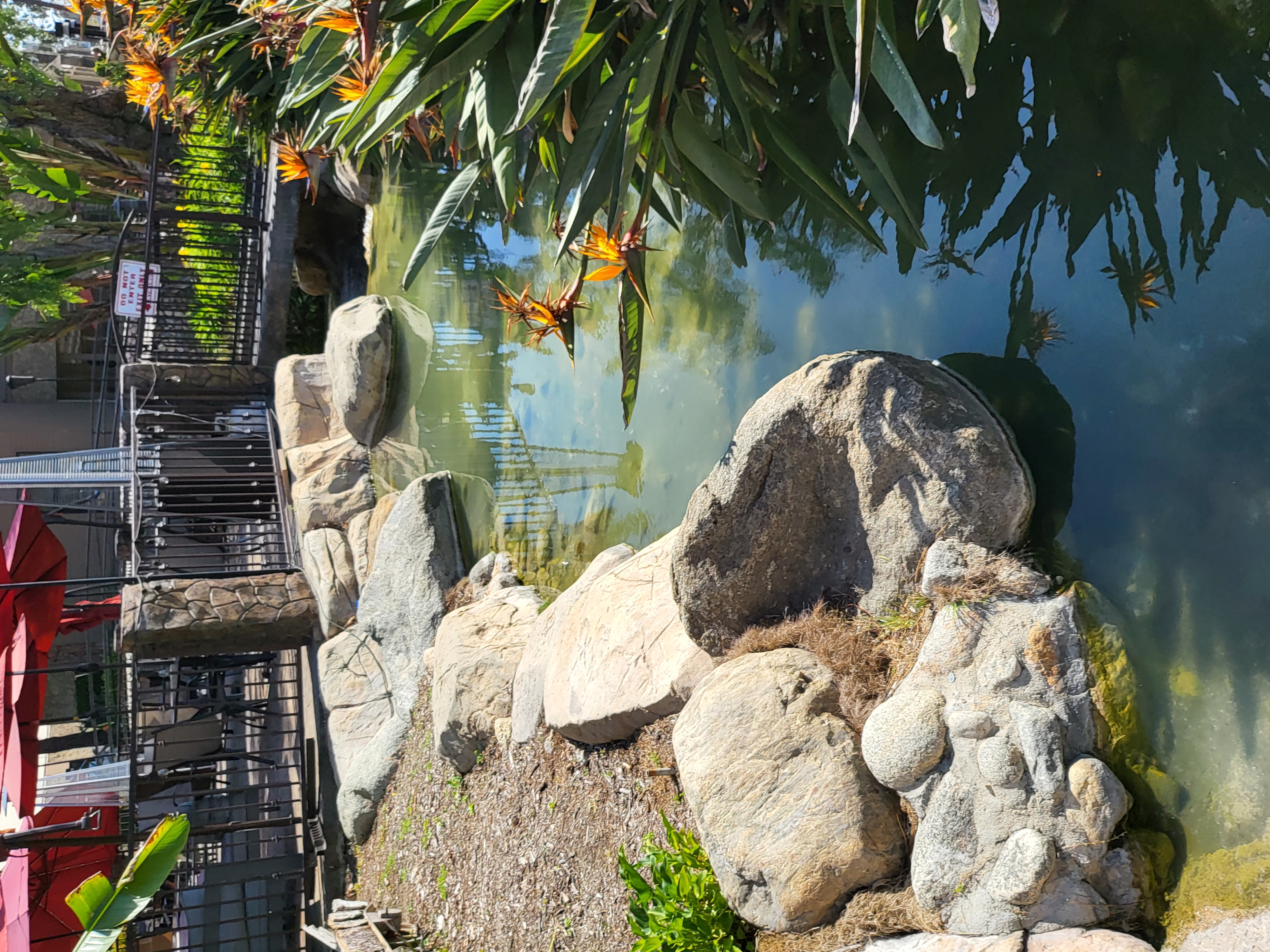 pool, resort — On The Rocks Bar & Grill (founder field photo)