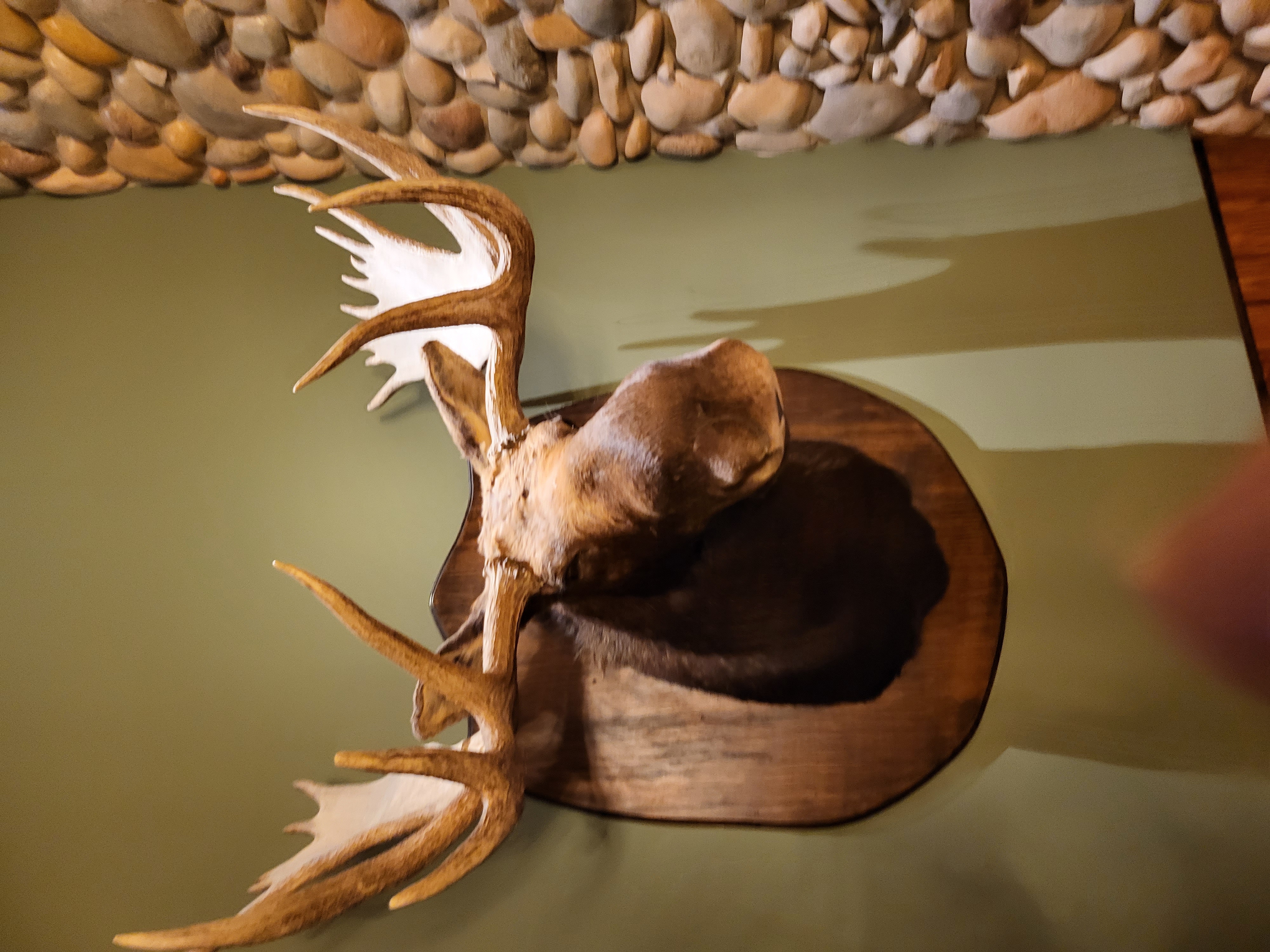restaurant, hotel-room, lobby — Twin Peaks (founder field photo)